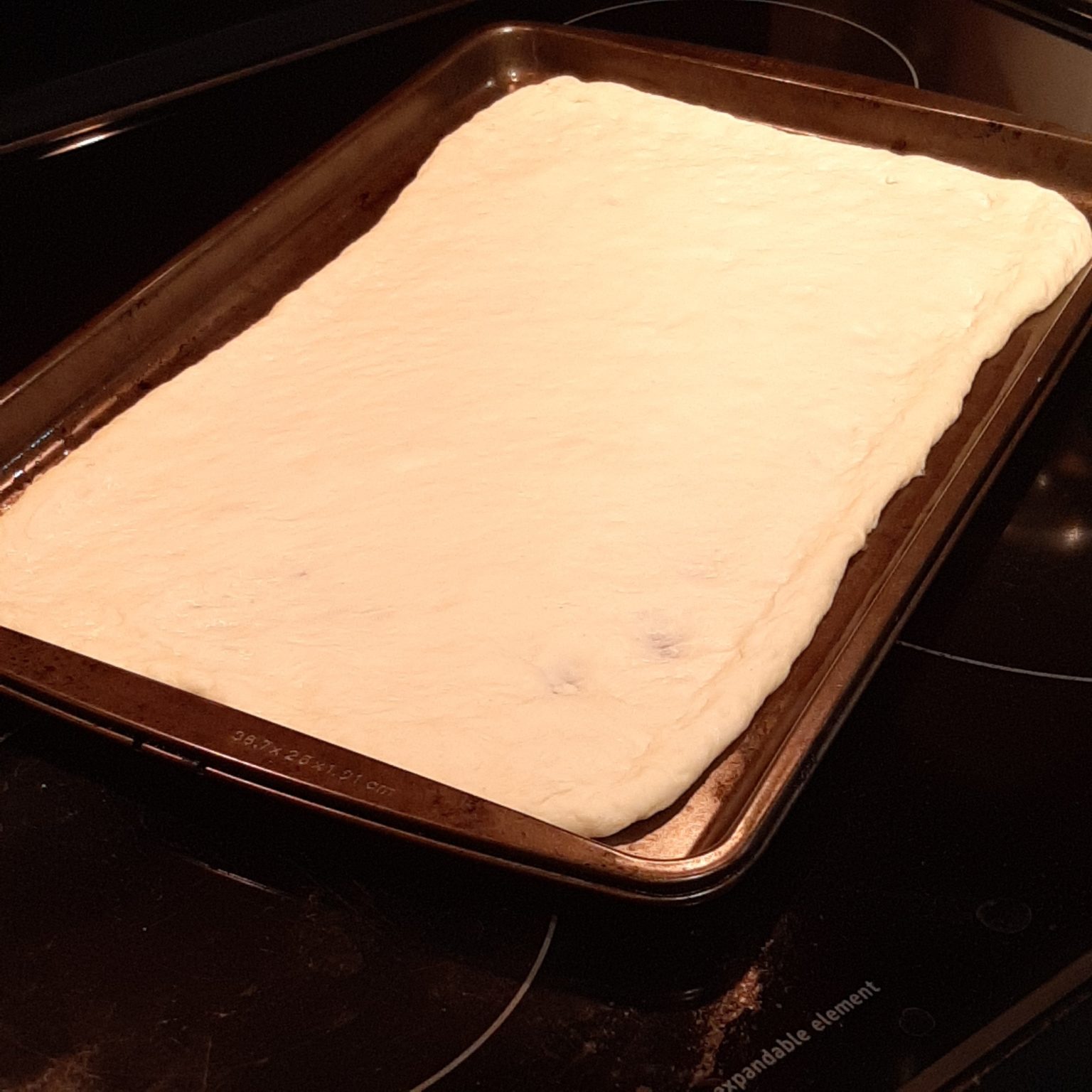 Pane Fresco Fresh Pizza Dough Instructions How To Use sensitive